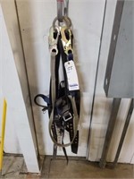 GROUP OF VARIOUS SAFETY HARNESSES