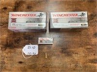 A2 - Winchester .22 Ammo