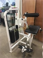Life Fitness Low Back Extension Machine - ST20