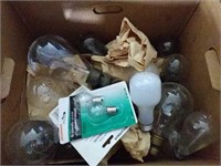 Box of Variety Light Bulbs