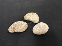 Three Good Size Petoskey Stones