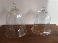 Two Glass Cloche Displays
