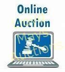 Welcome To The Auction - Please Read!