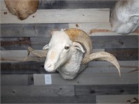 Mounted Ram