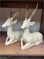 TWO WHITE DEER WITH ANTLERS