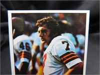 Joe Theismann 1975 Topps NFL Card No. 416
