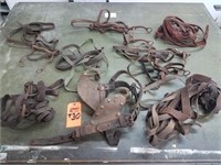 Antique Horse Blinders, Horse Bits, Reins