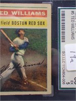 Graded 1956 Topps Ted Williams card!