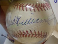 Signed Ted Williams Rawlings Baseball and Holder