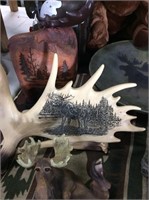 Moose etching on antler