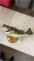 Bass Taxidermy by Archie Phillips
