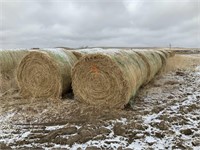 Panhandle Farmers and Ranchers Hay Auction 2022