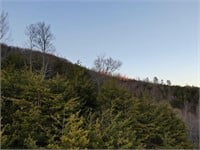 Lot 236 Whistle Valley Road New Tazewell, Tennessee 37825