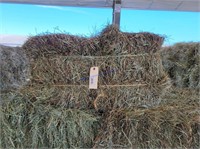 Hay & Grain Online Auction 2-23-22