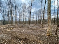 Indiana Land for Sale | Monroe County