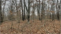 11.2 Wooded acres Adjoining Forbes Lake Rec Area
