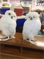 Pair of owls from Z Gallerie‘s