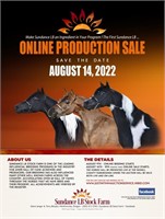 Sundance LB Stock Farm Online Auction