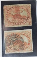 2 Beaver - 3 pence 1851 - Canadian Stamp (2 Tones)