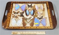 Butterfly Tray Marquetry Border