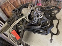 Harness Bridle & Leads