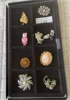 Display of Jewelry Pins and Earrings