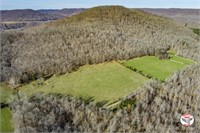127+/- Acre Farm in Tracts