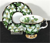 ROYAL ALBERT TEACUP & SAUCER FLORA SERIES