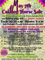 May 7th Catalog Horse Sale - Trail Horse Special!