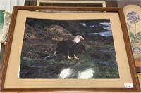 Eagle picture and old frame