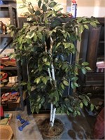Miscellaneous Floral Containers, Artificial Ficus