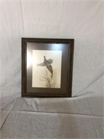 Wall Hangings and Other Pictured Frames