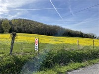 129+/- Acre Farm in Tracts