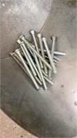 3/8 x 5 carriage bolts - 19 pcs