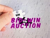 Action Auction One