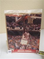 Michael Jordan NBA Hoops, 8" x 10"