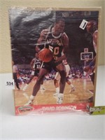 David Robinson NBA Hoops, 8" x 10"