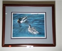Signed and Numbered Duck Print by Louise Booth
