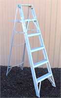 6' Alum Ext Ladder