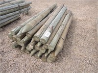 (33) New 4" x 7' Pointed Green Treat Wood Posts