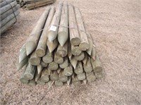 (45) New 4" x 7' Pointed Green Treat Wood Posts
