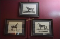 3-Matted and Framed Black/White Horse Prints
