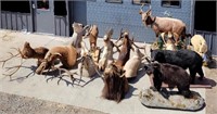 Taxidermy, Sporting Goods & Tools Online Auction
