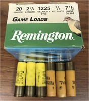 20 gauge ammunition, assorted, 31rds
