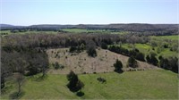 On-Line Auction - 61 Ac Iron Co MO