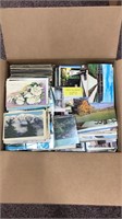 US and Worldwide Stamps 1500+ Postcards, mostly 20