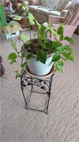 Iron Plant Stand with Crock Planter 25" Tall x
