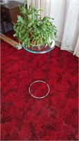 Chrome and Glass Plant Stand