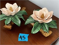 set of magnolia flowers, handpainted