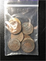 Bag Of 10 Indian Cents